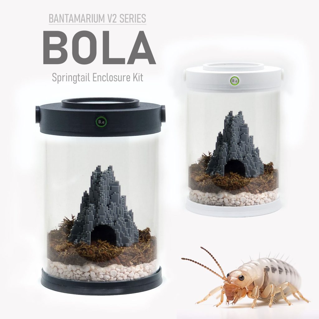 Customizable Springtail Terrarium Kit | Bantam-V2 Bola