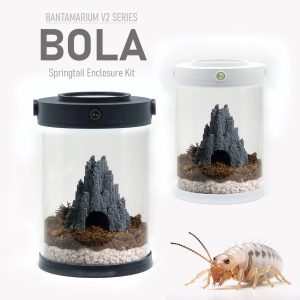 Customizable Springtail Terrarium Kit | Bantam-V2 Bola