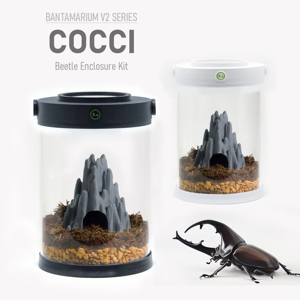 Customizable Beetle Terrarium Kit | Bantam-V2 Cocci Series