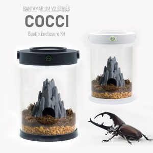 Customizable Beetle Terrarium Kit | Bantam-V2 Cocci Series