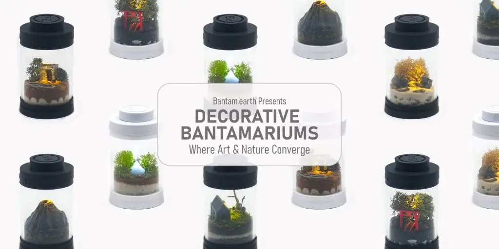 Exclusive Decorative Terrariums | Bantamarium V1 Series Kitsv