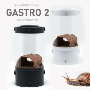 Customizable Land Snail Enclosure Kit | Bantam-V2 Gastro 2