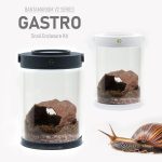 Customizable Land Snail Terrarium Kit | Bantam-V2 Gastro