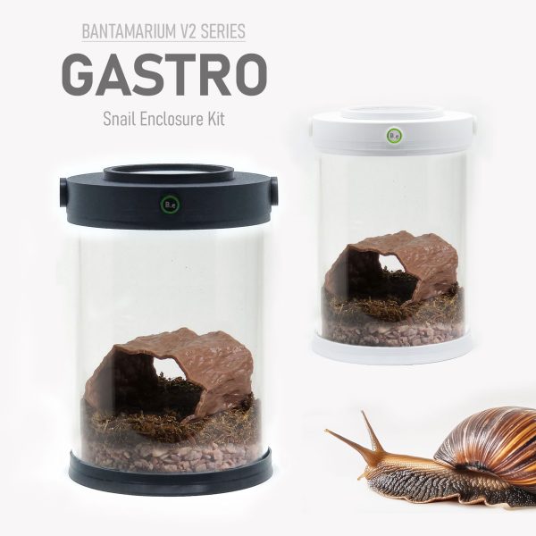 Customizable Land Snail Terrarium Kit | Bantam-V2 Gastro