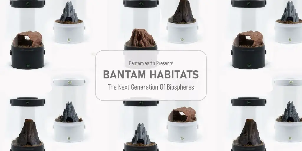 Customizable Vivarium Enclosures | Bantamarium V2 Series