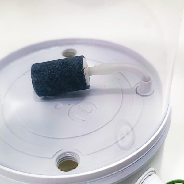 Bantamarium V2 CULT | High-end Brine Shrimp Hatchery Kit