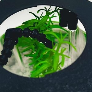 Bantamarium V2 AQUA | Mini Fish Tank With Filter & Light