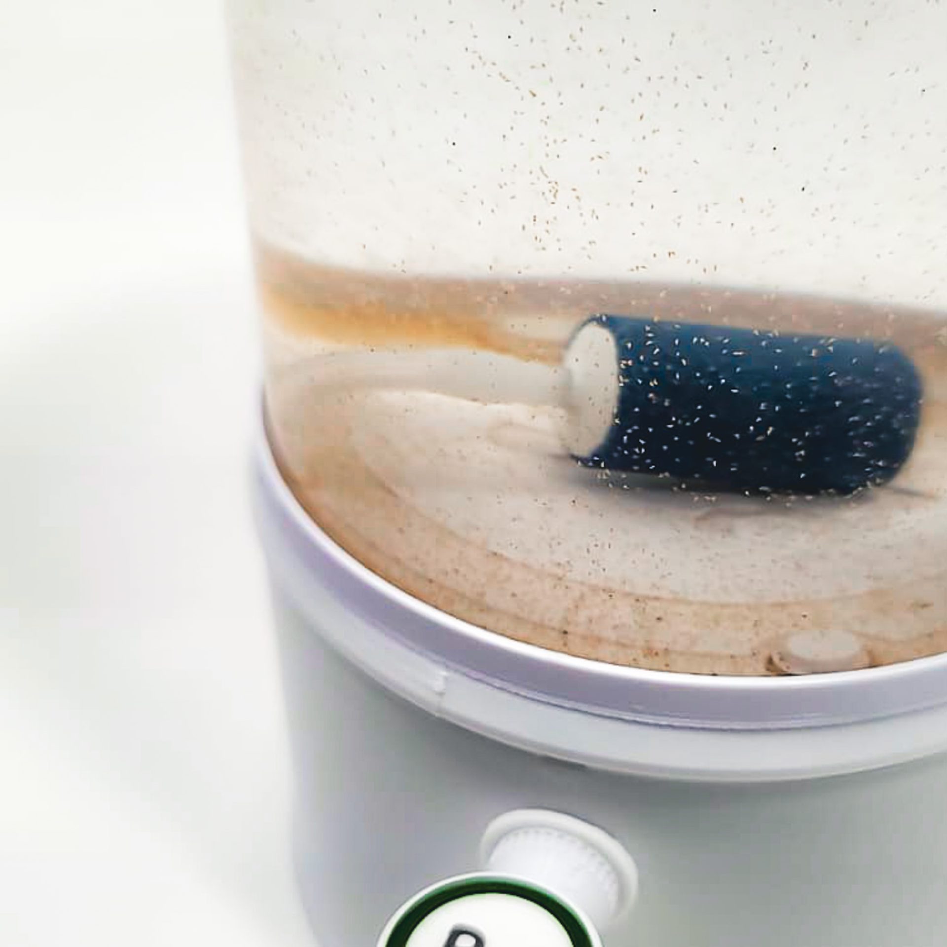 Bantamarium V2 CULT | High-end Brine Shrimp Hatchery Kit