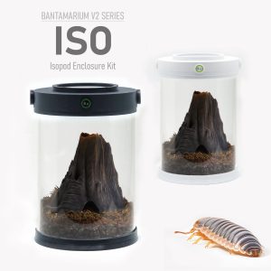 Customizable Isopod Terrarium Kit | Bantam-V2 ISO Series