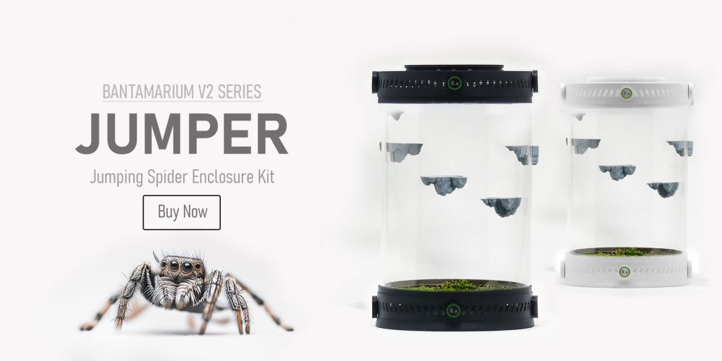 Adaptable Jumping Spider Enclosure Kit | Bantam-V2 Jumper