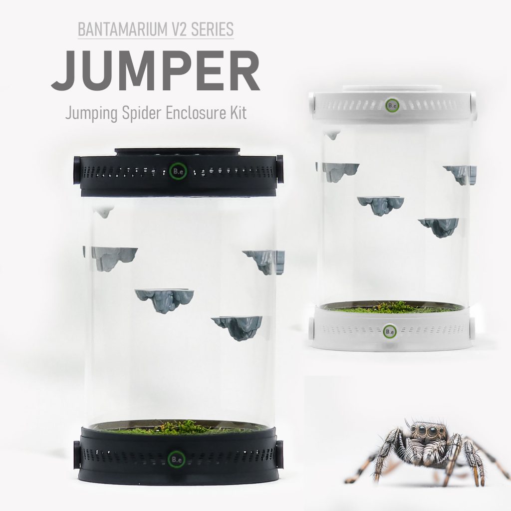 Adaptable Jumping Spider Enclosure Kit | Bantam-V2 Jumper