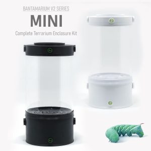 Bantamarium V2 | MINI | Customizable Miniature Terrarium Kit