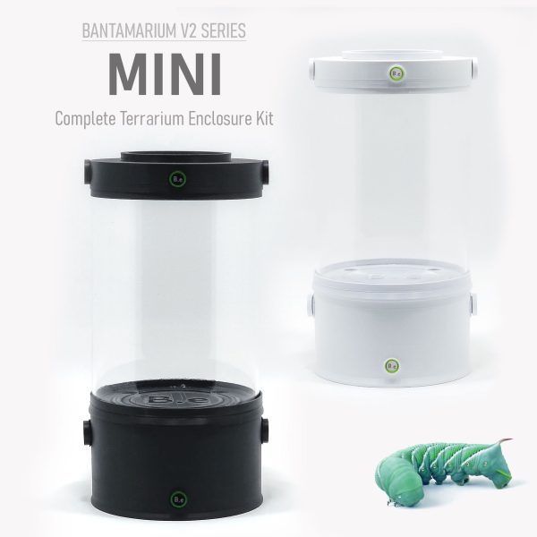 Bantamarium V2 | MINI | Customizable Miniature Terrarium Kit