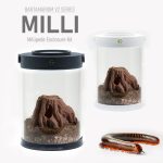 Adaptable Millipede Terrarium Kit | Bantam-V2 Milli Series