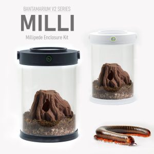 Adaptable Millipede Terrarium Kit | Bantam-V2 Milli Series