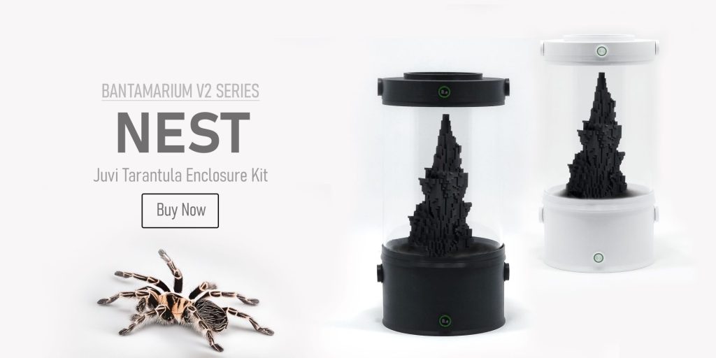 Customizable Tarantula Enclosure Kit | Bantam-V2 Nest