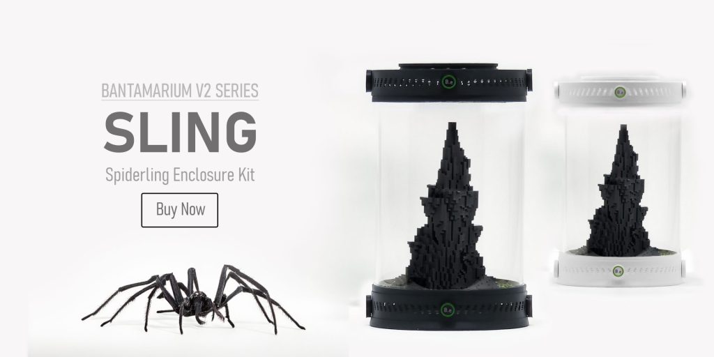 Customizable Spiderling Enclosure Kit | Bantam-V2 Sling