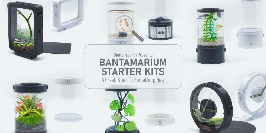 Vivarium Starter Kits