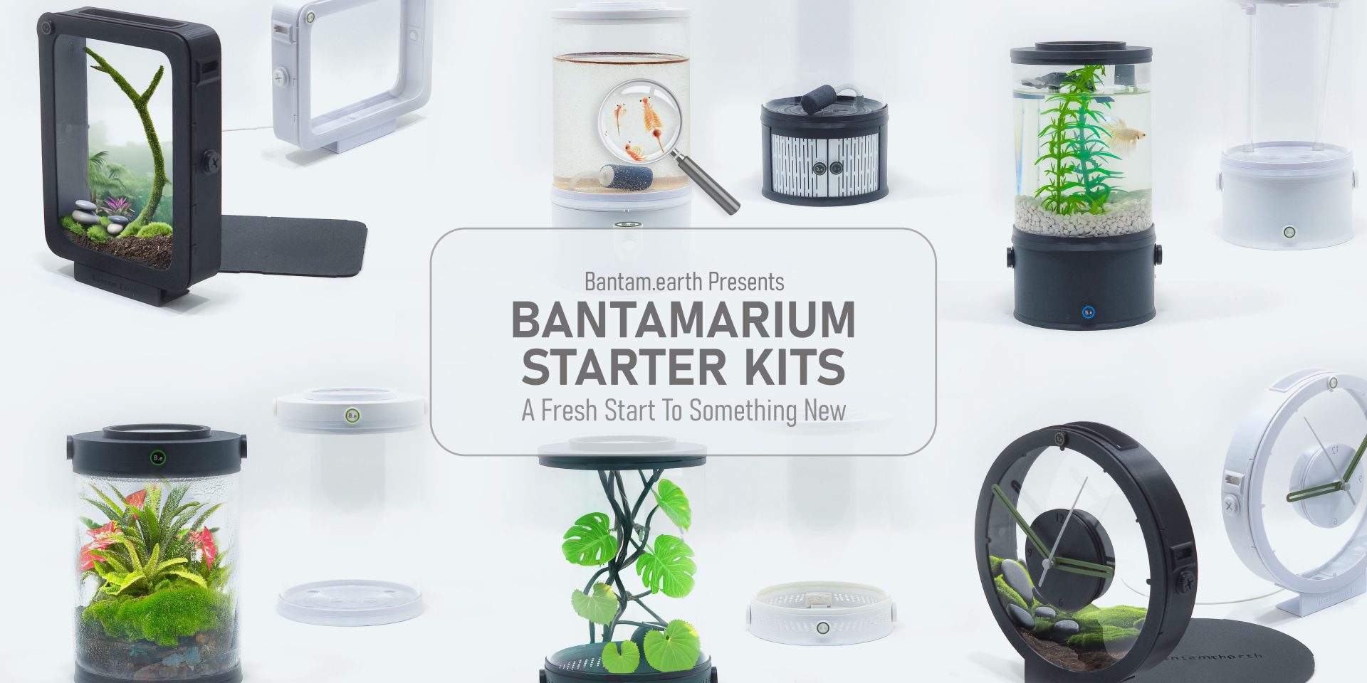 Vivarium Starter Kits
