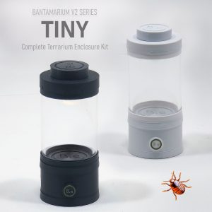 Bantamarium V2 | TINY | Customizable Tiny Terrarium Kit