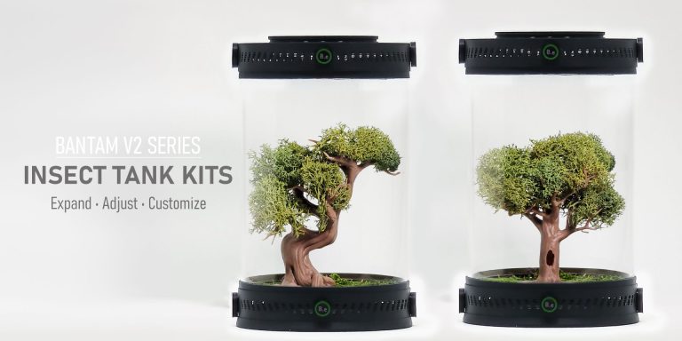 Customizable Insect Enclosures | Bantamarium V2 Series