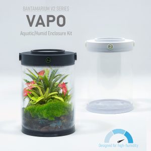 Bantamarium V2 | VAPO | Customizable Closed Terrarium Kit