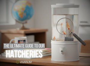 Brine Shrimp Hatchery Guide