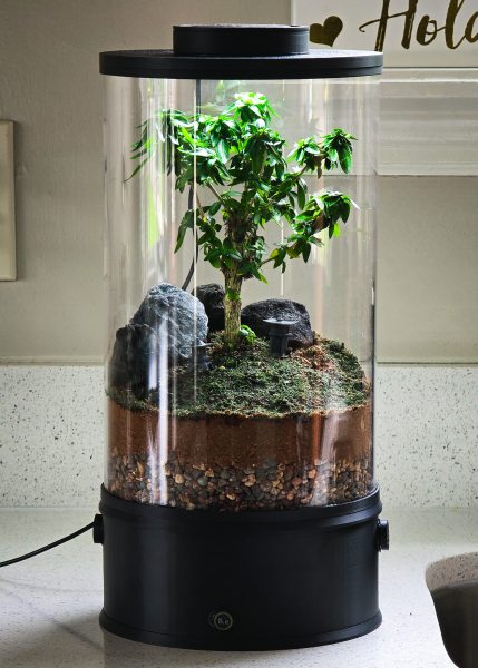 Live Bonsai Terrarium Kit | Ecosystem w/ Self-Draining Base