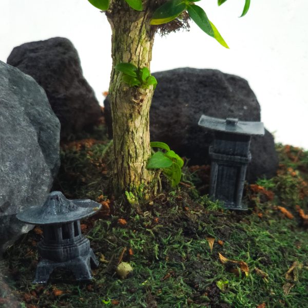 Live Bonsai Terrarium Kit | Ecosystem w/ Self-Draining Base