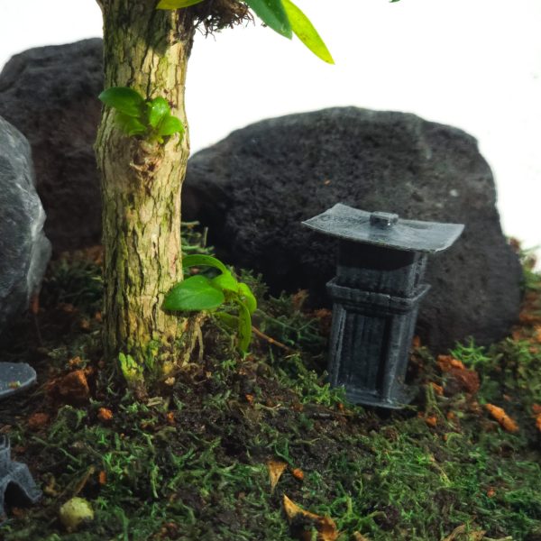 Live Bonsai Terrarium Kit | Ecosystem w/ Self-Draining Base