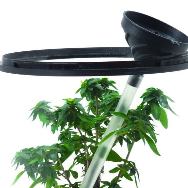 Live Bonsai Terrarium Kit | Ecosystem w/ Self-Draining Base