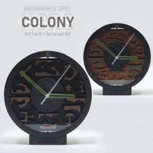 Ant Farm Clock Kit | Bantam C2 Colony HORO