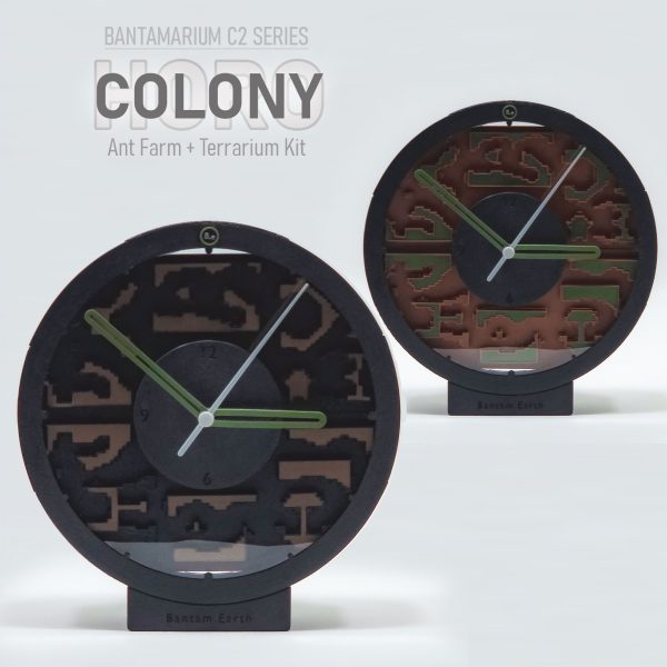 Ant Farm Clock Kit | Bantam C2 Colony HORO
