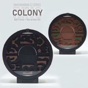 Expandable Ant Farm Kit | Bantam C2 COLONY RING