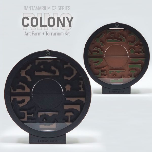 Expandable Ant Farm Kit | Bantam C2 COLONY RING
