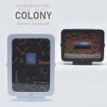 Expandable Ant Farm Kit | Bantam R2 Colony FLIP