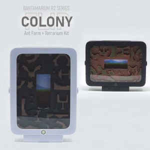 Expandable Ant Farm Kit | Bantam R2 Colony FLIP