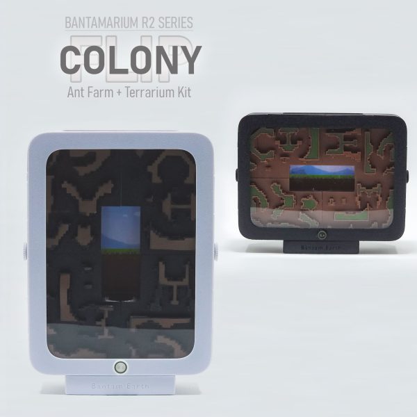 Expandable Ant Farm Kit | Bantam R2 Colony FLIP