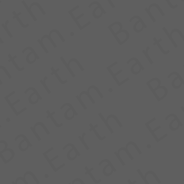 Bantamarium SKIN | Base Color Pack - Image 4