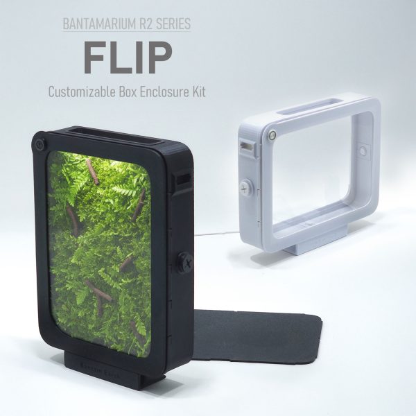 Bantamarium R2 FLIP | Customizable Box Terrarium Kit