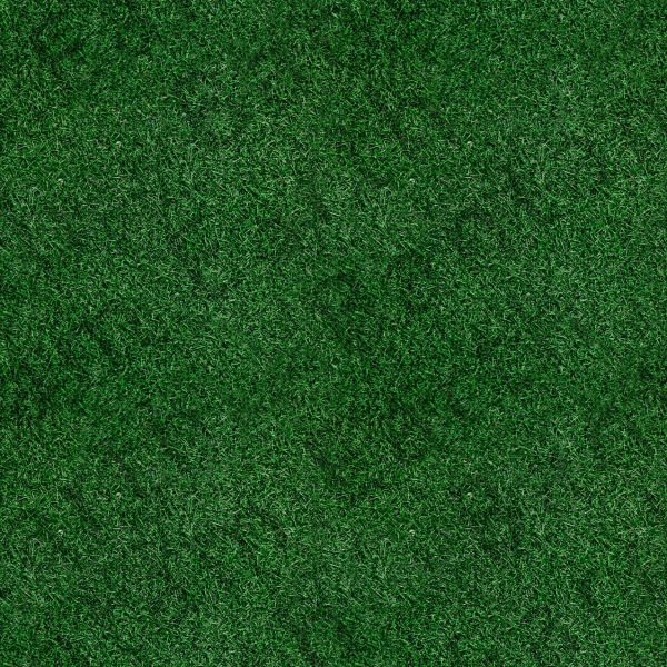 Bantamarium SKIN | Texture Pack - Image 14