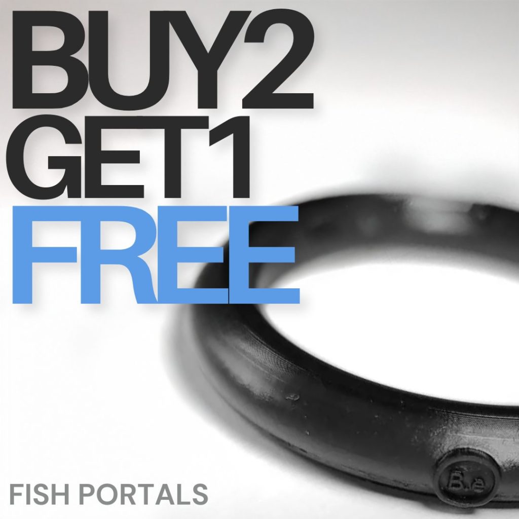 Buy any 2 fish portals and get a 3rd one for free.