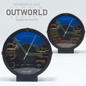 Ant Enclosure Clock Kit | Bantam C2 OUTWORLD HORO