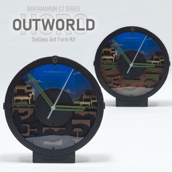 Ant Enclosure Clock Kit | Bantam C2 OUTWORLD HORO