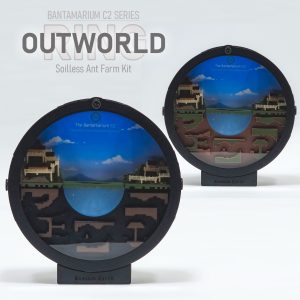 Expandable Ant Enclosure Kit | Bantam C2 OUTWORLD | RING