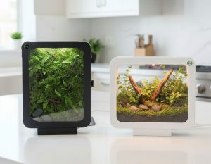 Bantamarium R2 FLIP shown in two orientations.