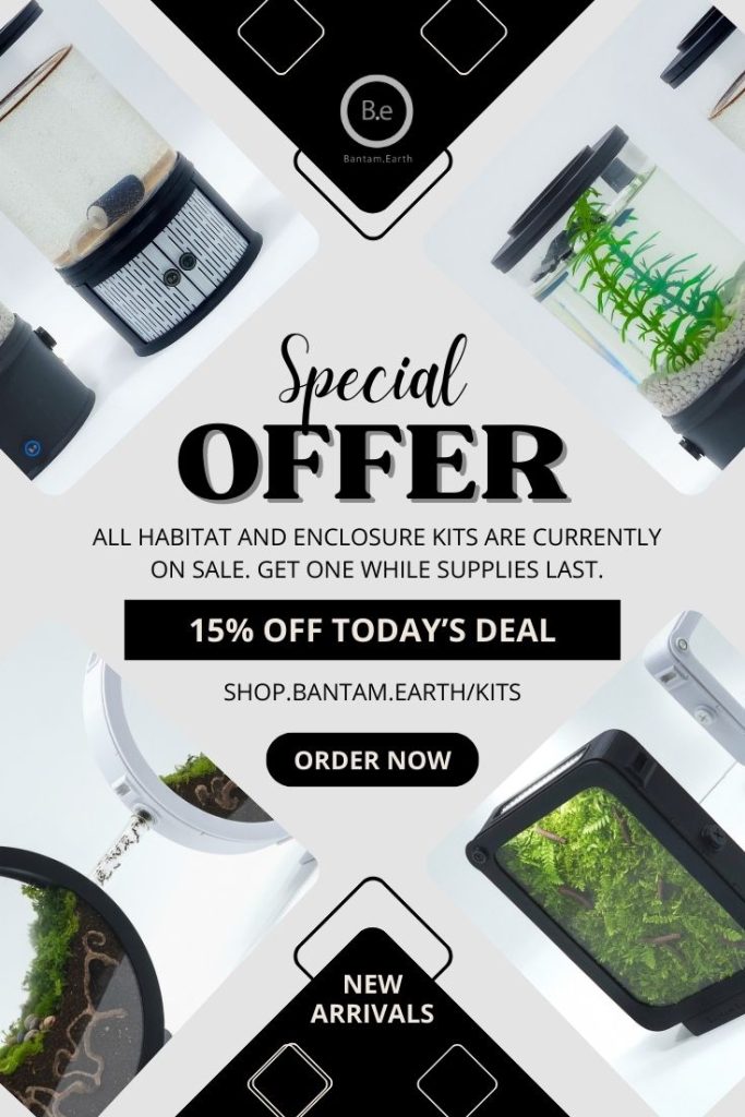 New Vivarium Kits Currently On Sale For 15% Off