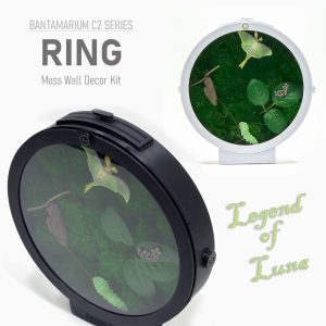 Legend Of Luna | Luna Moth Moss Wall Decor